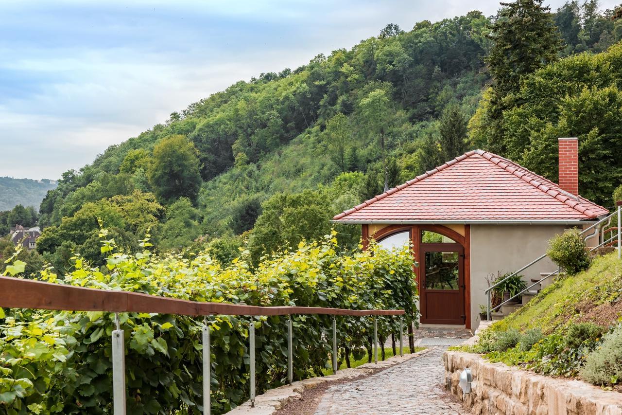 Flair Hotel Villa Ilske Bad Kösen Kültér fotó